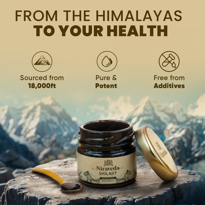Niraveda Pure Shilajit (10gm Pack)